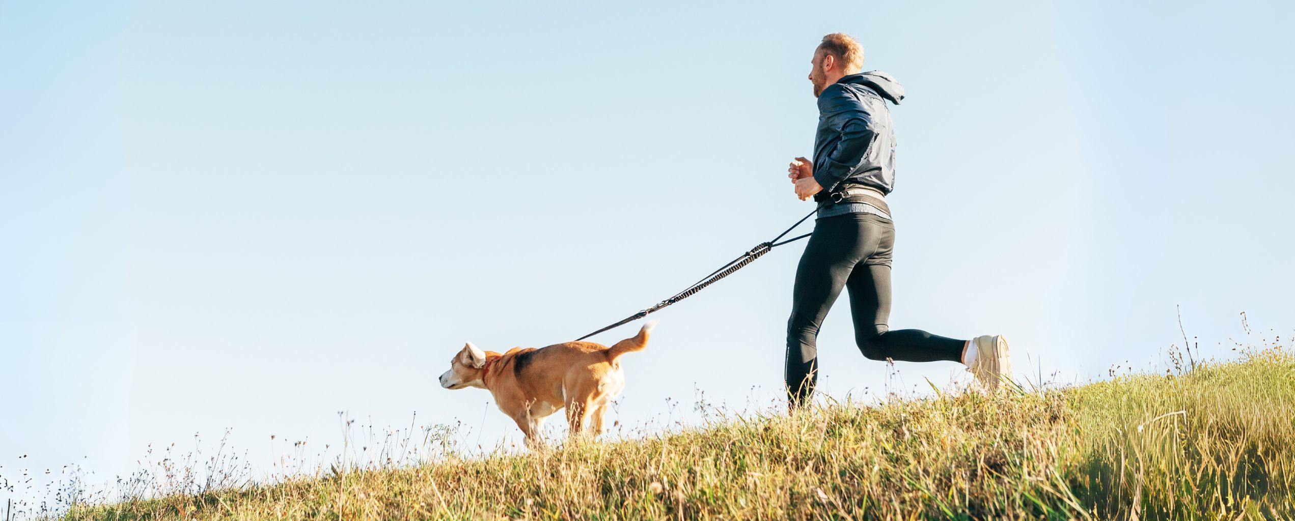 Man jogging uphill with a dog on a hands-free leash under a clear blue sky, promoting outdoor physical activity.