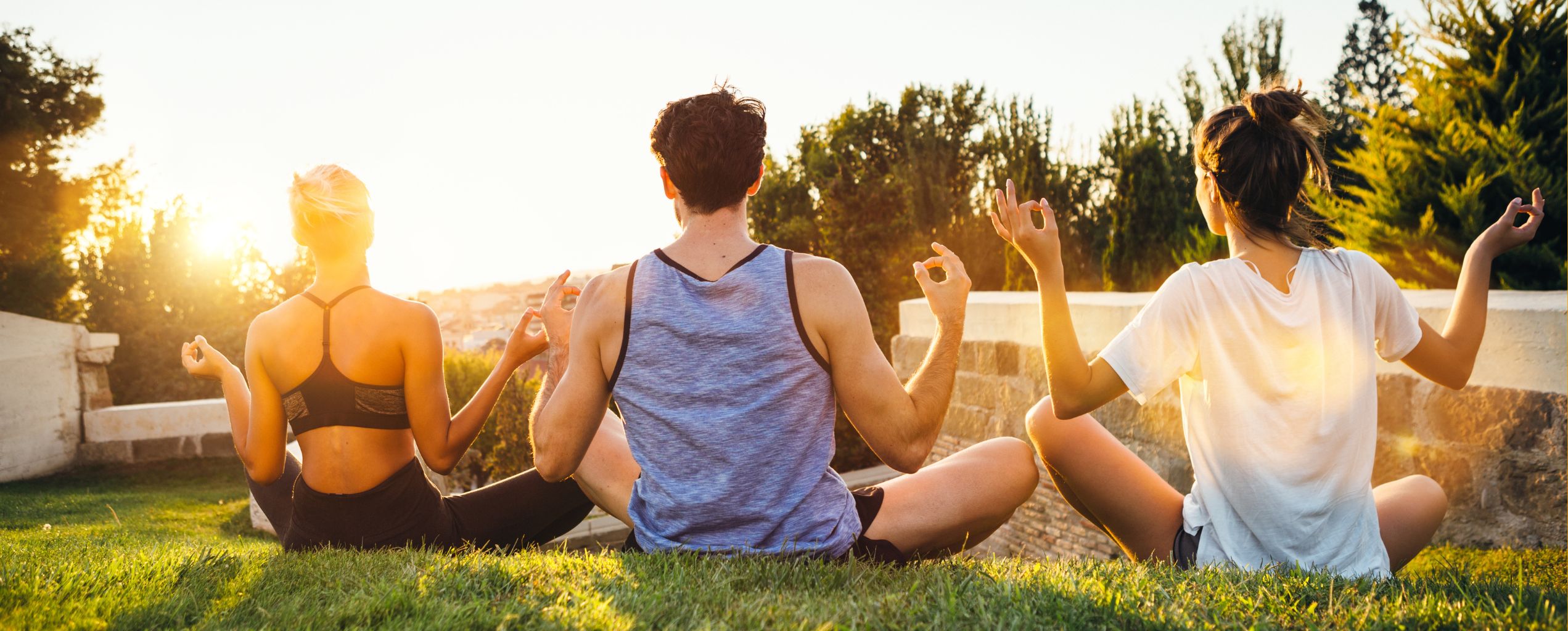 Three people meditating on grass at sunset, sitting cross-legged with hands in a yoga mudra position, facing away toward the sun.