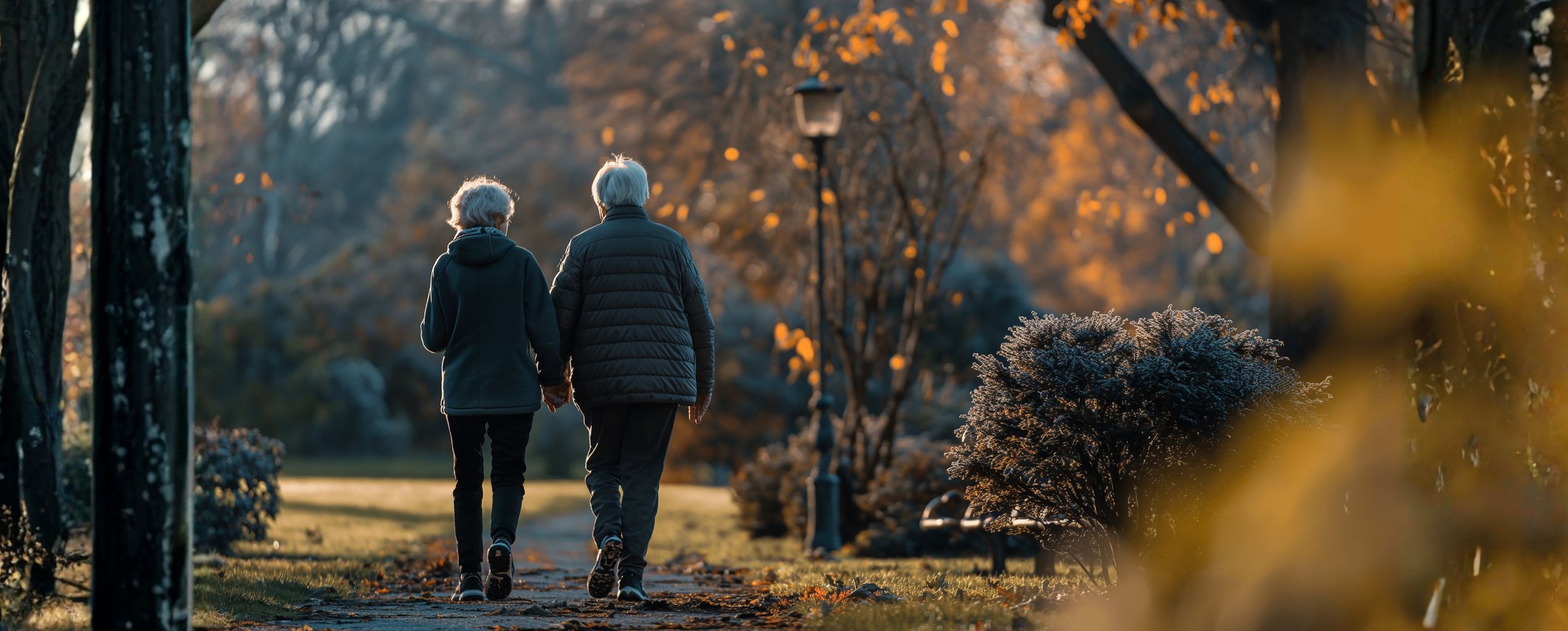 Two older adults walking hand in hand along a park path surrounded by autumn trees and soft sunlight.