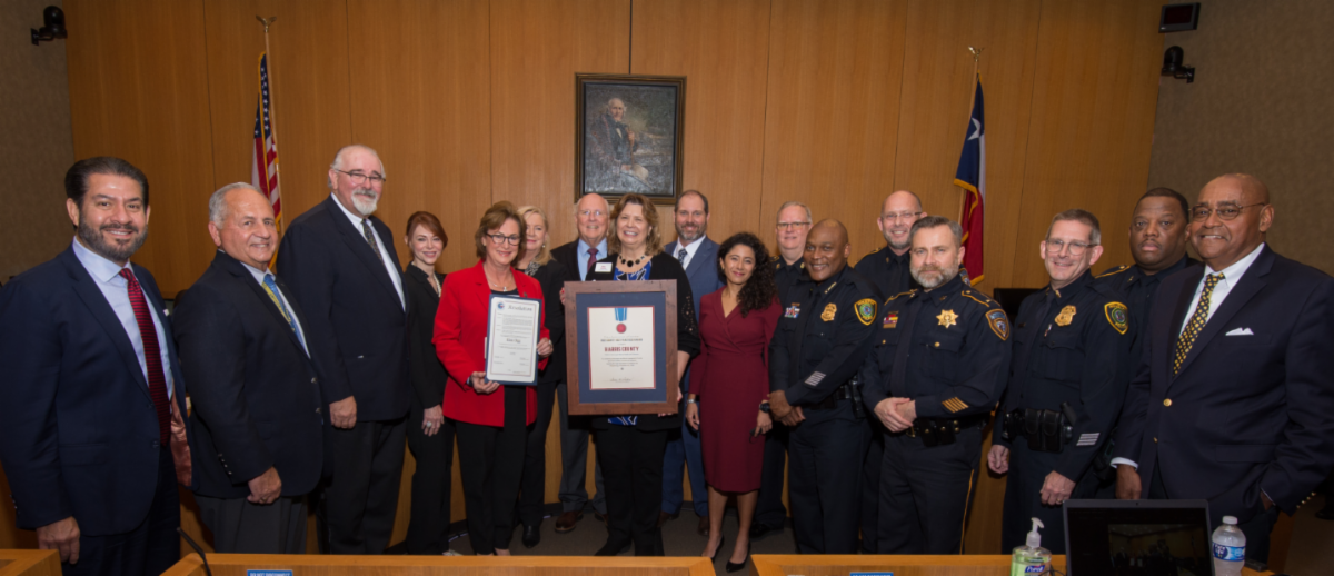 The Texas Association Of Counties